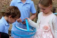photogallery_6084_l