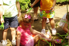 photogallery_1536_l