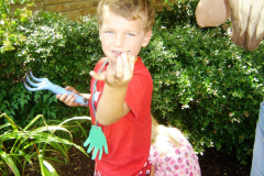 photogallery_1541_l