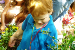 photogallery_1544_l