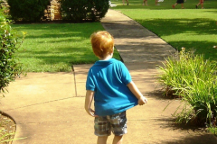 photogallery_1548_l