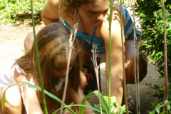 photogallery_1550_l