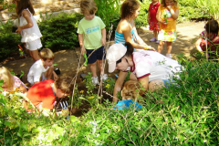 photogallery_1551_l