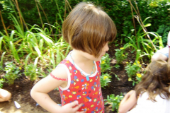 photogallery_1552_l