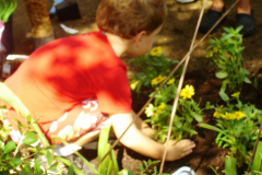 photogallery_1555_l