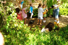 photogallery_1567_l