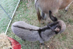 photogallery_760_l