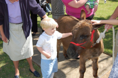 photogallery_2484_l