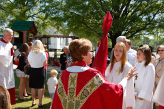 photogallery_2492_l