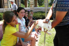photogallery_4575_l