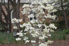 photogallery_2409_l