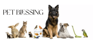 Pet Blessing